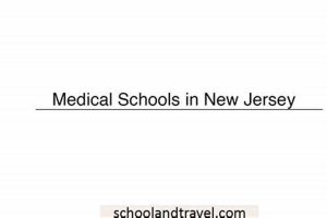 Top Medical Schools in New Jersey: 2024 Guide | Best Schools in America: Top Public & Private Options