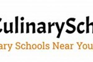 Top Culinary Schools in Miami: 2024 Guide | Best Schools in America: Top Public & Private Options