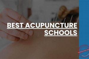 Top 10 Best Acupuncture Schools & Programs | Best Schools in America: Top Public & Private Options