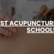 Top 10 Best Acupuncture Schools & Programs | Best Schools in America: Top Public & Private Options