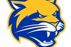 Chattahoochee HS Football: Home of the Cougars | Best Schools in America: Top Public & Private Options