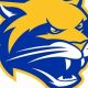 Chattahoochee HS Football: Home of the Cougars | Best Schools in America: Top Public & Private Options