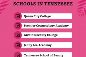 Top 10 Cosmetology Schools in Tennessee 2024 | Best Schools in America: Top Public & Private Options