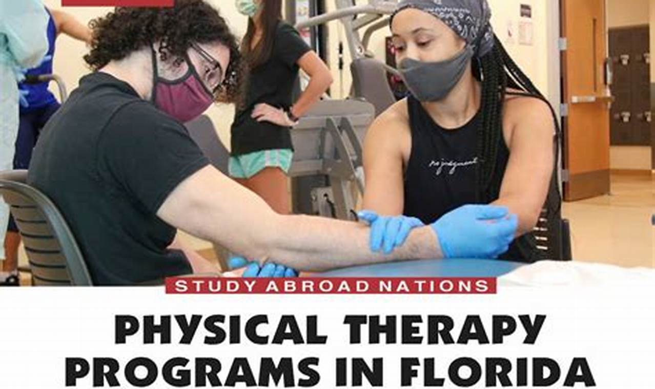 Top Physical Therapy Schools in Florida 2024 | Best Schools in America: Top Public & Private Options