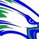 Go Eagles! Robert C. Byrd HS Football Updates | Best Schools in America: Top Public & Private Options