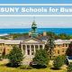 Top SUNY Business Schools: 2024 Rankings | Best Schools in America: Top Public & Private Options