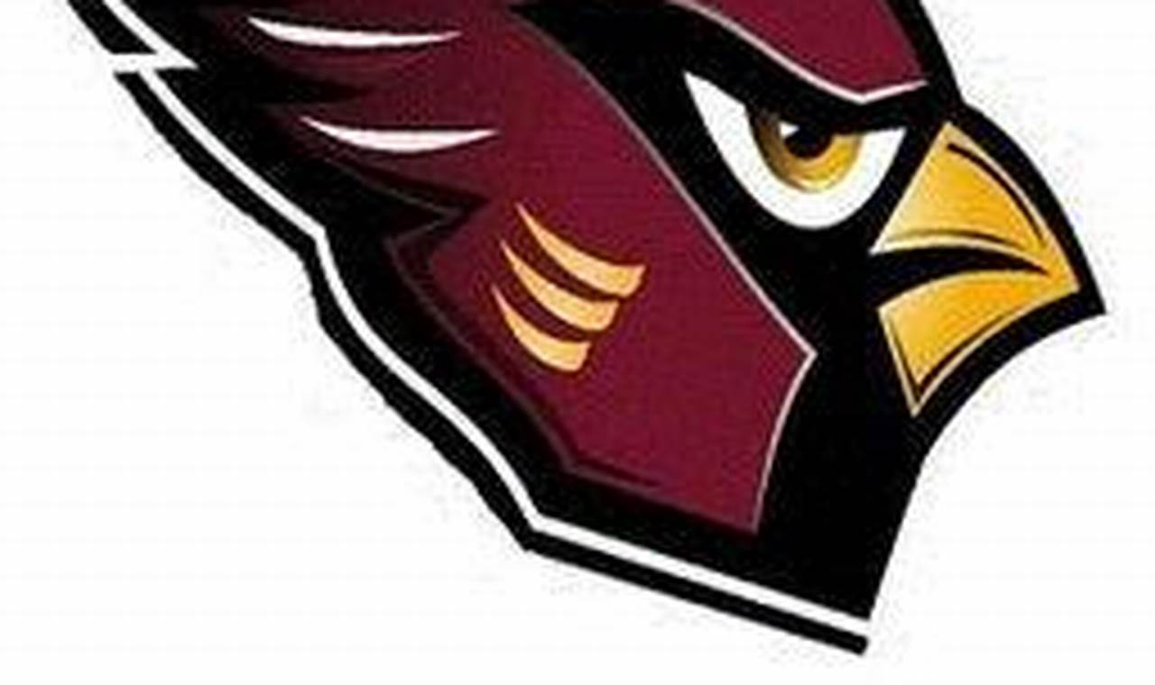 Best Case High School Football: Team & Season Highlights | Best Schools in America: Top Public & Private Options