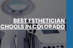 Top Esthetician Schools in Colorado: 2024 Guide | Best Schools in America: Top Public & Private Options