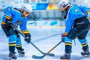 Top Massachusetts Hockey Prep Schools & Academies | Best Schools in America: Top Public & Private Options