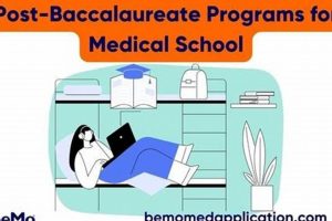 Top Online Post-Bacc Programs for Med School | Best Schools in America: Top Public & Private Options