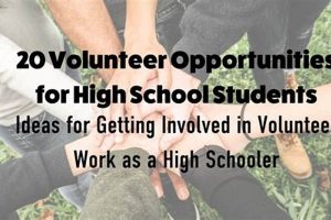Online Volunteer Opportunities For High School Students | Best Schools in America: Top Public & Private Options