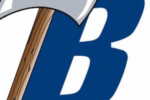 Bemidji HS Football: 2023 Schedule & Tickets | Best Schools in America: Top Public & Private Options