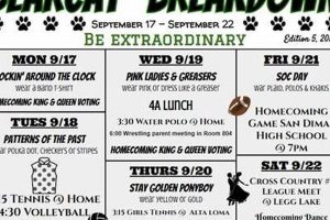 Homecoming Activities For High School | Best Schools in America: Top Public & Private Options