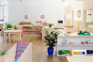 Top Montessori Schools in Toronto: A Guide | Best Schools in America: Top Public & Private Options