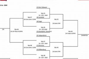 Iowa HS Wrestling Brackets: Guide & Info | Best Schools in America: Top Public & Private Options