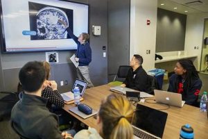 Top US Neuroscience Undergraduate Programs | Best Schools in America: Top Public & Private Options