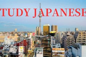 Top Best Japanese Language Schools in Japan Guide | Best Schools in America: Top Public & Private Options