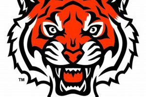 Top Liberty Center High School Football Plays Best Schools in America: Top Public & Private Options Top Liberty Center High School Football Plays | Best Schools in America: Top Public & Private Options