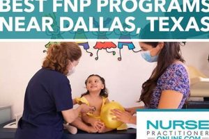 Top 10 Best Online FNP Schools 2024 | Best Schools in America: Top Public & Private Options