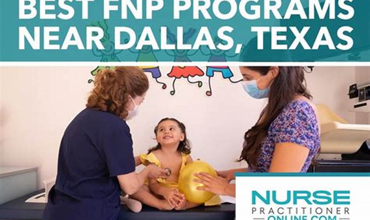 Top 10 Best Online FNP Schools 2024