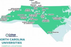 Best Schools Near Cary Best Schools in America: Top Public & Private Options Best Schools Near Cary | Best Schools in America: Top Public & Private Options
