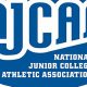 Top NJCAA Football Schools: A 2024 Guide | Best Schools in America: Top Public & Private Options