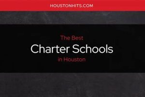 Top-Rated Charter Schools in Houston, TX | Best Schools in America: Top Public & Private Options