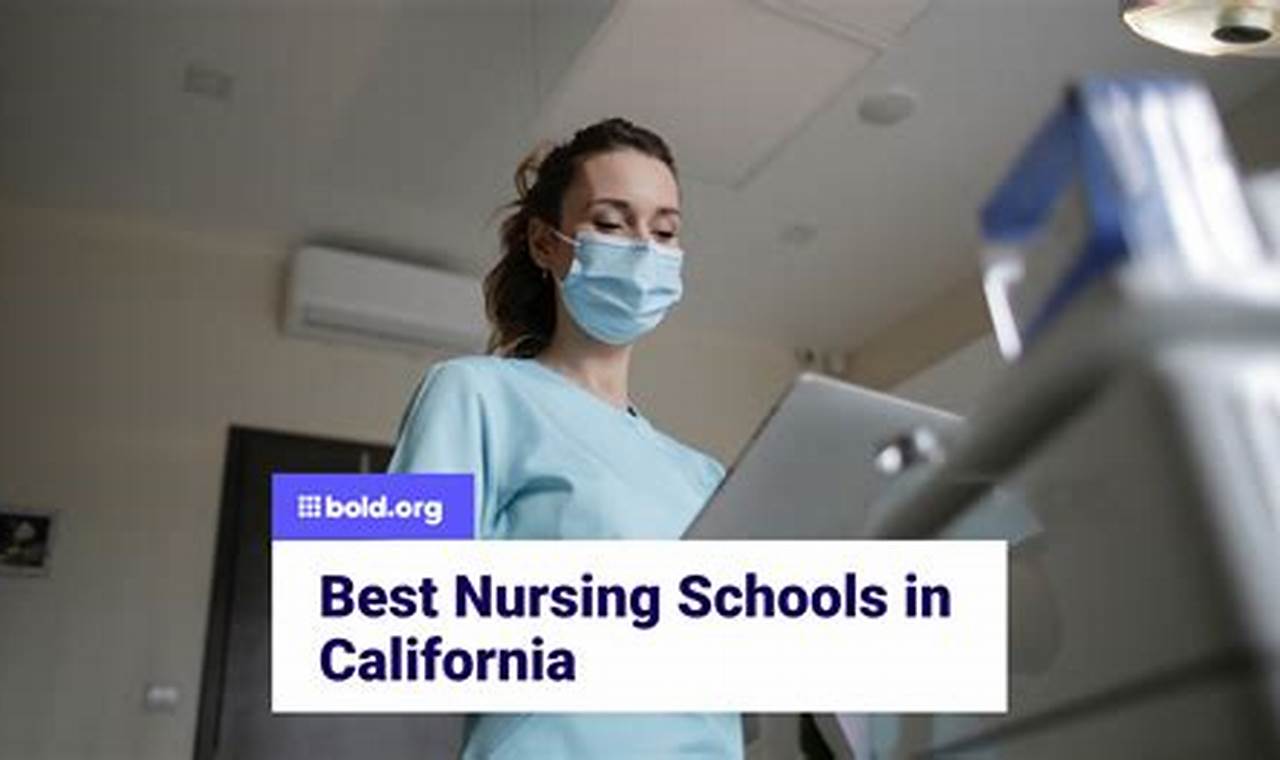 Top 10 Best Cal State Nursing Schools: 2024 Guide | Best Schools in America: Top Public & Private Options