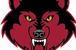 Go Dothan High Wolves! Football Season Highlights | Best Schools in America: Top Public & Private Options