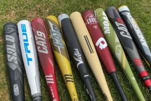 Top 5 Best High School Baseball Bats 2024 Best Schools in America: Top Public & Private Options Top 5 Best High School Baseball Bats 2024 | Best Schools in America: Top Public & Private Options