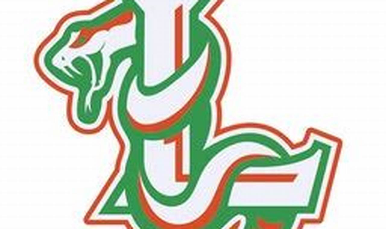 LeFlore High School Football: Home of the Rattlers | Best Schools in America: Top Public & Private Options