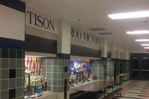 Discover Tison Middle School: A Parent's Guide | Best Schools in America: Top Public & Private Options