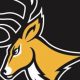Go Highlanders! West Milford HS Football News | Best Schools in America: Top Public & Private Options