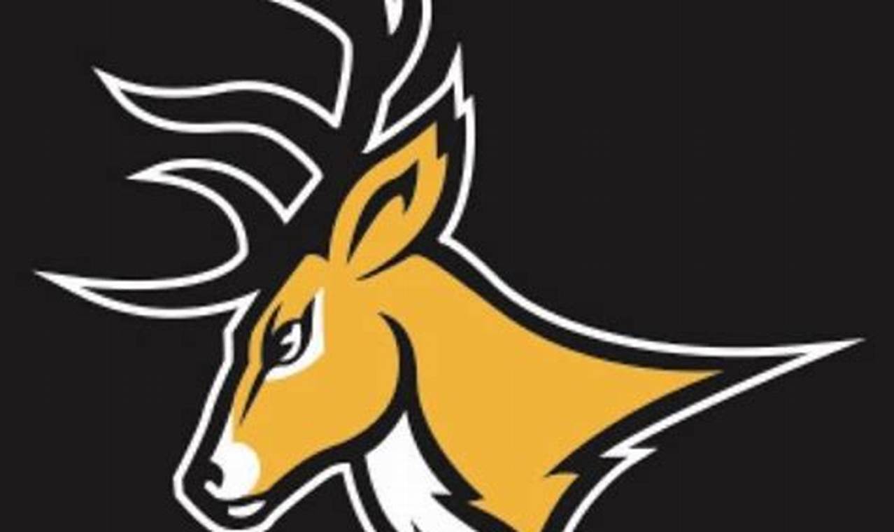 Go Highlanders! West Milford HS Football News | Best Schools in America: Top Public & Private Options