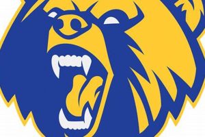 Discover Napolitano Bayshore High School: A Premier Education | Best Schools in America: Top Public & Private Options