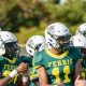 Go Ferris Saxons! High School Football Updates | Best Schools in America: Top Public & Private Options