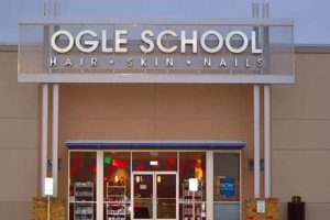 Top 10 Best Cosmetology Schools in USA 2024 | Best Schools in America: Top Public & Private Options