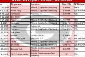 GHSA Playoffs 2024: Georgia Schedule &amp; Brackets | Best Schools in America: Top Public & Private Options