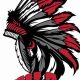 West Allegheny HS Football: Home of the Indians | Best Schools in America: Top Public & Private Options