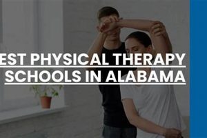 Top Physical Therapy Schools in Alabama 2024 | Best Schools in America: Top Public & Private Options
