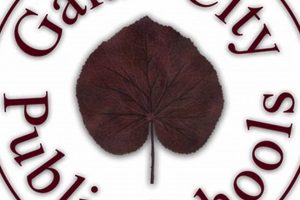 Galax High School Football: Maroon Tide Pride | Best Schools in America: Top Public & Private Options