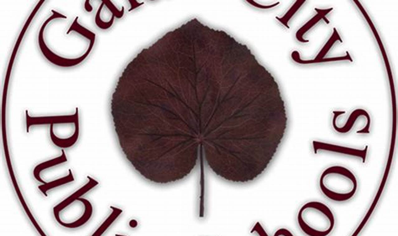 Galax High School Football: Maroon Tide Pride | Best Schools in America: Top Public & Private Options