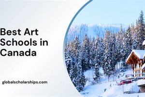 Top Art Schools in Canada: 2024 Rankings | Best Schools in America: Top Public & Private Options