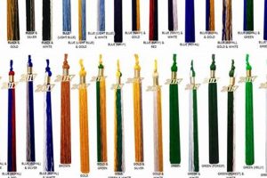 High School Tassels: Guide & Meaning | Best Schools in America: Top Public & Private Options