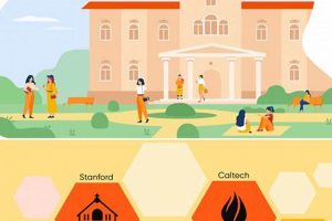 Top Best Non Ivy League Schools & Colleges Best Schools in America: Top Public & Private Options Top Best Non Ivy League Schools & Colleges | Best Schools in America: Top Public & Private Options