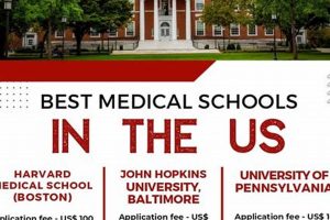 Top 10 Best Surgical Medical Schools: 2024 Guide Best Schools in America: Top Public & Private Options Top 10 Best Surgical Medical Schools: 2024 Guide | Best Schools in America: Top Public & Private Options