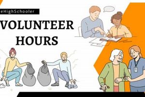 Maximize Your High School Volunteer Hours: A Guide | Best Schools in America: Top Public & Private Options