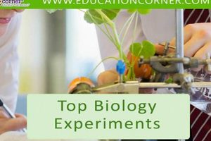 Top Best Schools for Biology Degrees & Careers | Best Schools in America: Top Public & Private Options