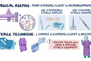 Sterile Processing: Best High School Classes to Take Best Schools in America: Top Public & Private Options Sterile Processing: Best High School Classes to Take | Best Schools in America: Top Public & Private Options