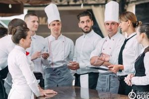 Top 10 Best Online Culinary Schools 2024 | Best Schools in America: Top Public & Private Options